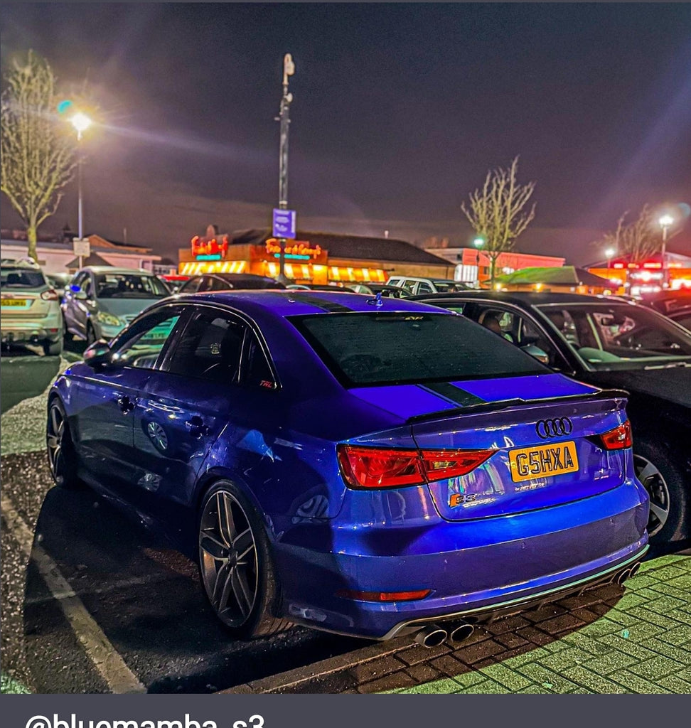 Audi S3 8V with some short 3D gel plates