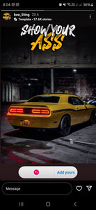 Dodge Challenger Yellow Jacket with some Import 3D gel plates