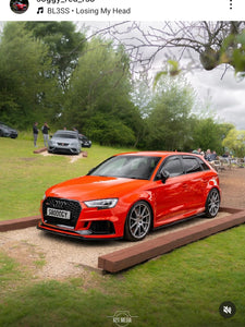 Audi RS3 8V with some 3D gel plates