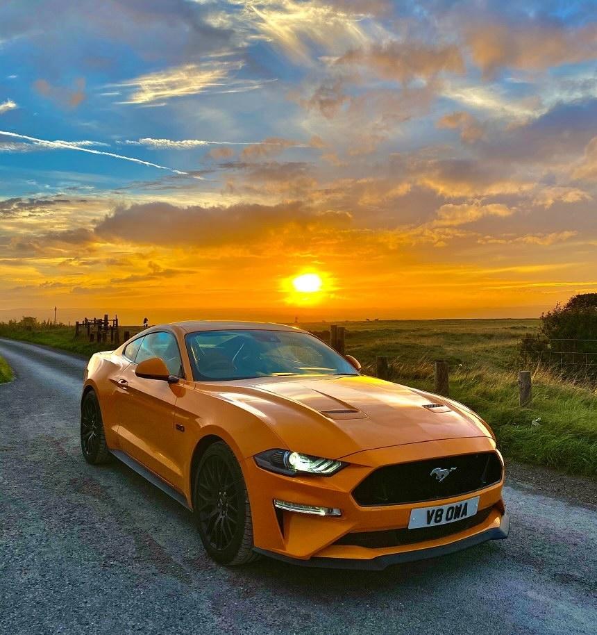 Customers Ford Mustang with 3D gel plates